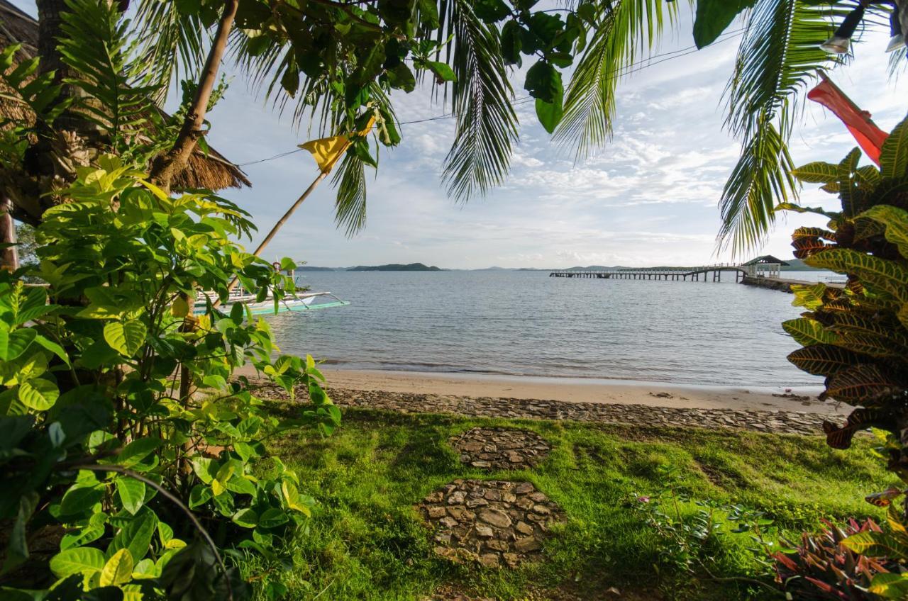 Concepcion Divers Lodge Busuanga Bagian luar foto